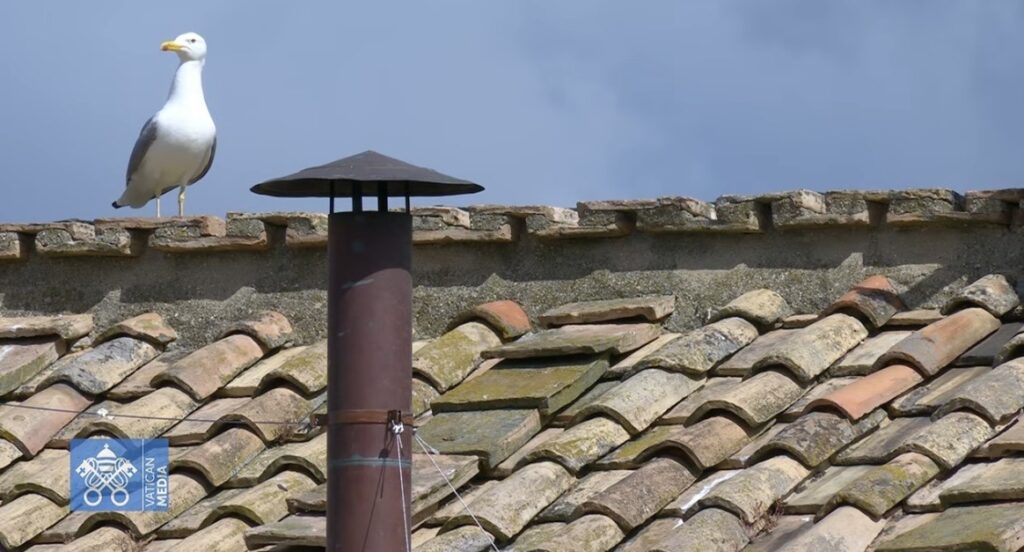 Inicia la segunda jornada de votaciones en el cónclave para la elección del nuevo papa, el acto se desarrolla en la capilla Sixtina. (Captura de pantalla).