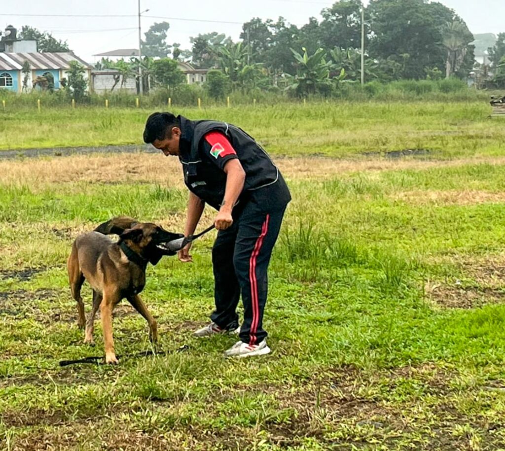 municipio-y-bomberos-capacitan-a-personal-sobre-control-de-perros-peligrosos
