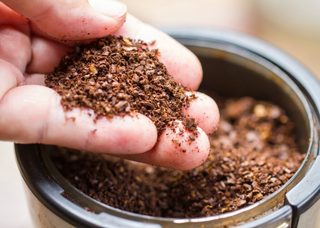 ¿Por qué deberías guardar los residuos del café filtrado en vez de tirarlos? Estás desperdiciando un tesoro para tus plantas