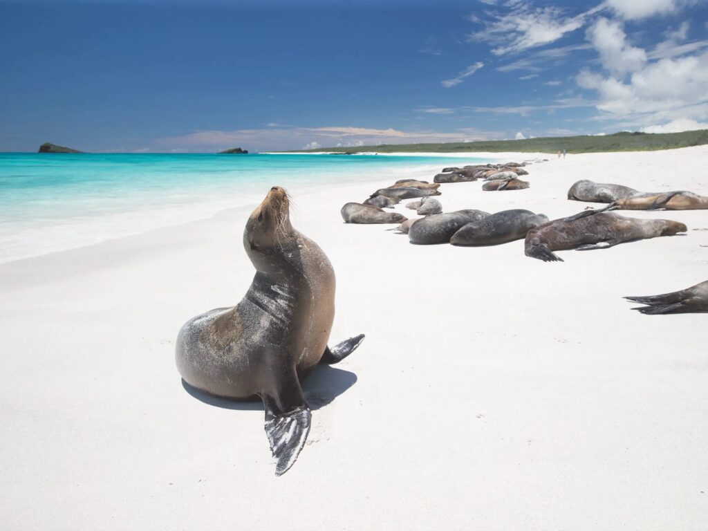 Una playa de Ecuador aparece en el ranking de las 50 mejores playas del mundo 2025