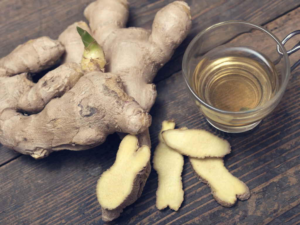 Jengibre: el rizoma que combate inflamaciones y mejora la digestión