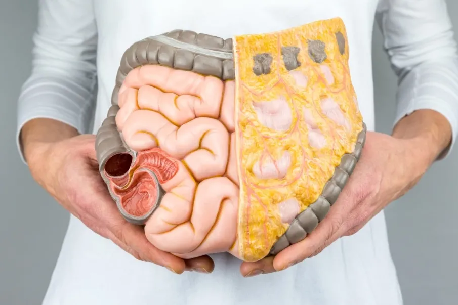 Grasa visceral: el enemigo silencioso dentro de tu cuerpo