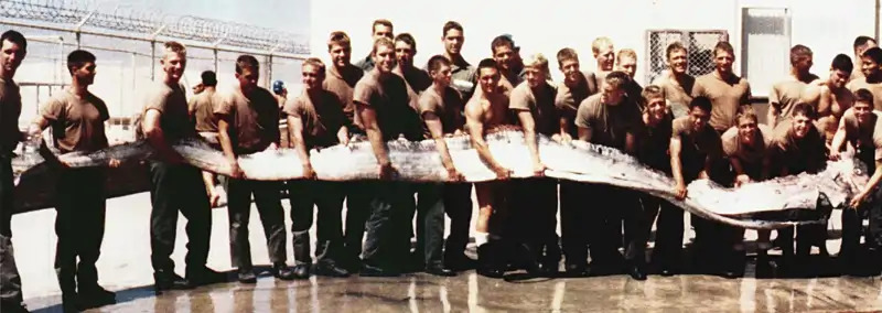 Miembros de la Armada de los Estados Unidos muestran un pez remo gigante de 7 metros descubierto por su instructor en la Bahía de San Diego en 1996.