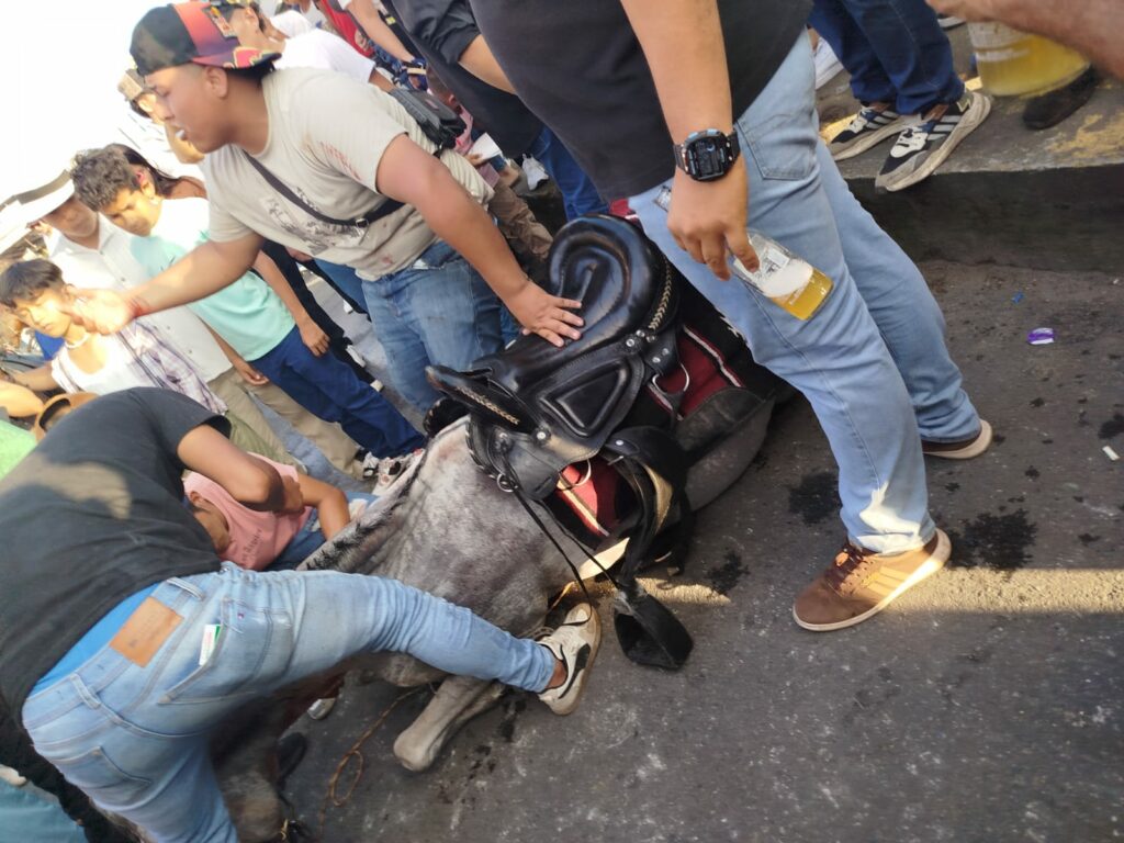 Un caballo murió por deshidratación durante la cabalgata realizada en el cantón El Carmen