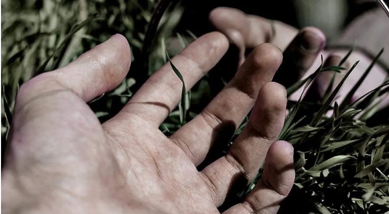 Asesinos disfrazados de militares ejecutan a dos hombres en Puebloviejo