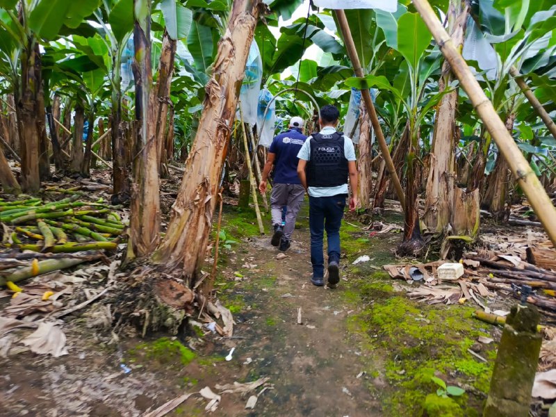 Conductor de tricimoto fue hallado maniatado y quemado en Buena Fe