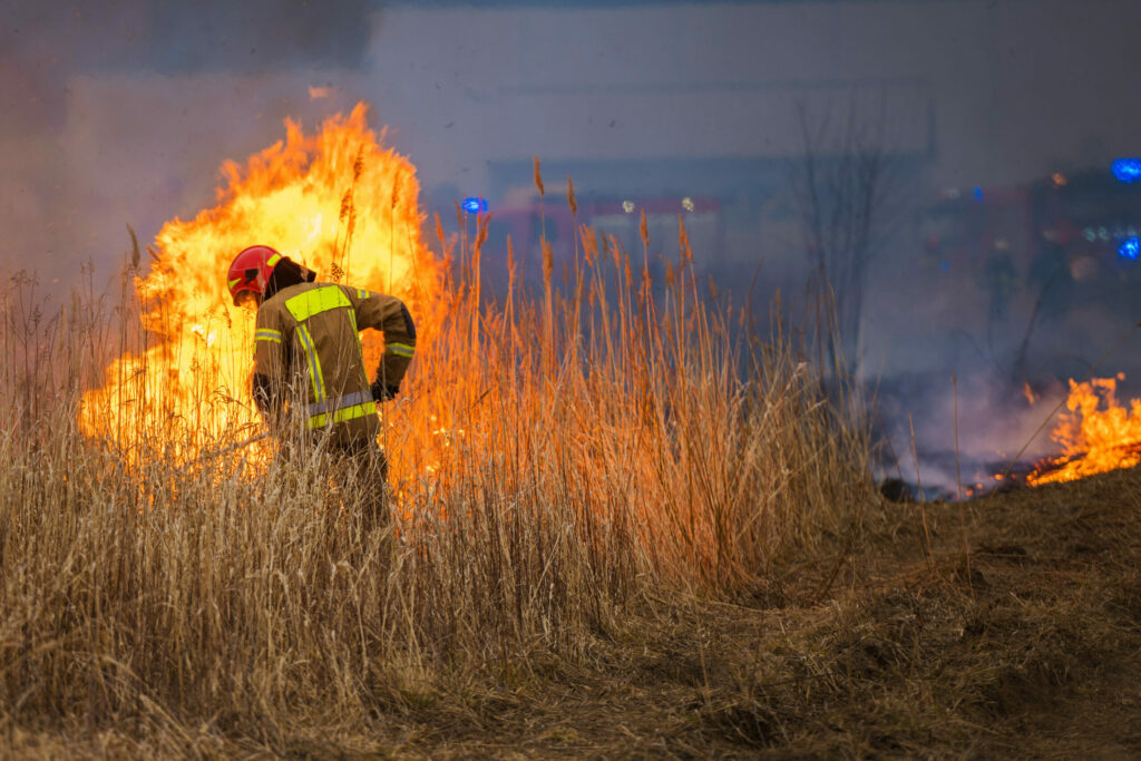 El 99% de los incendios forestales son provocados por el ser humano, ya sea por quemas agrícolas, fogatas mal apagadas o simples descuidos.