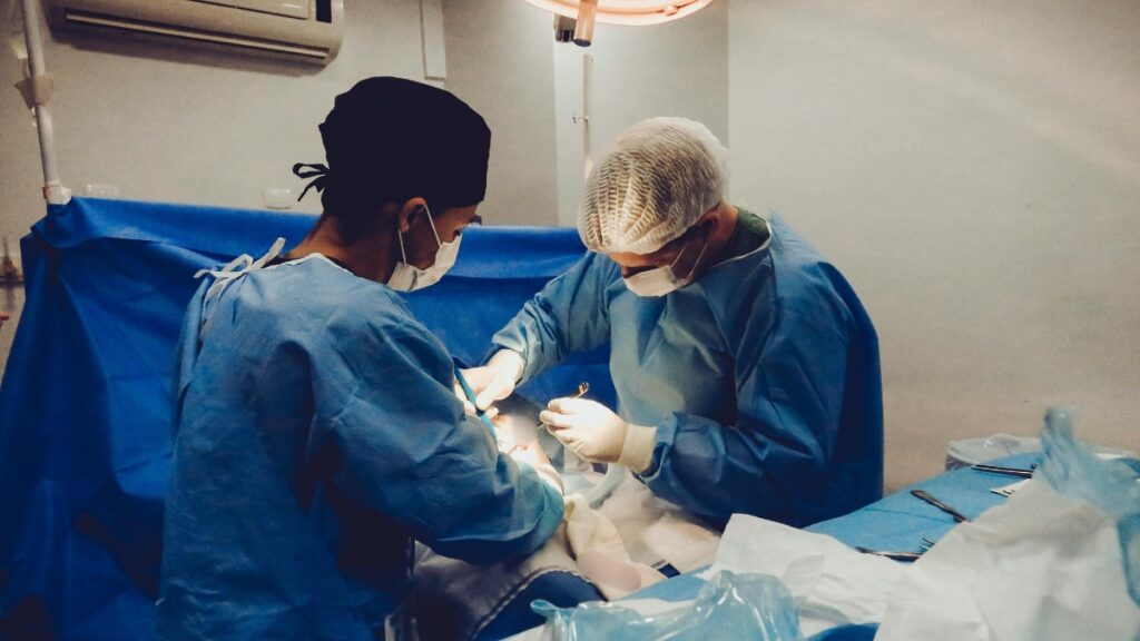 En Ecuador se realizaron 447 trasplantes de órganos en lo que va del 2025, de acuerdo al Indot. (Pexels)