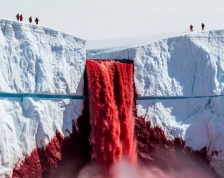 En el corazón del glaciar Taylor, en la Antártida, emerge Blood Falls, una cascada de intenso color rojizo que asemeja sangre.