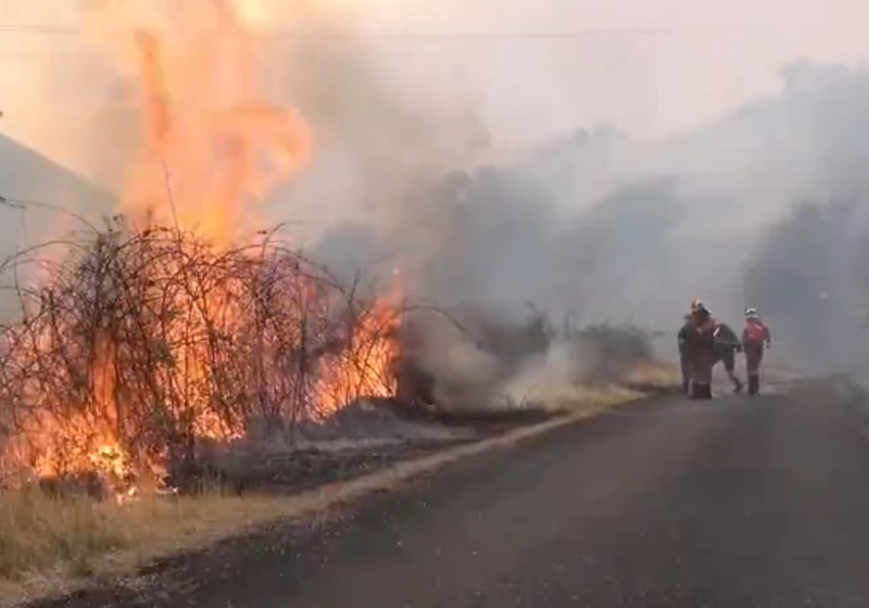 España registra la mayor devastación por incendios forestales de su historia, con más de 343 mil hectáreas consumidas, según datos oficiales.