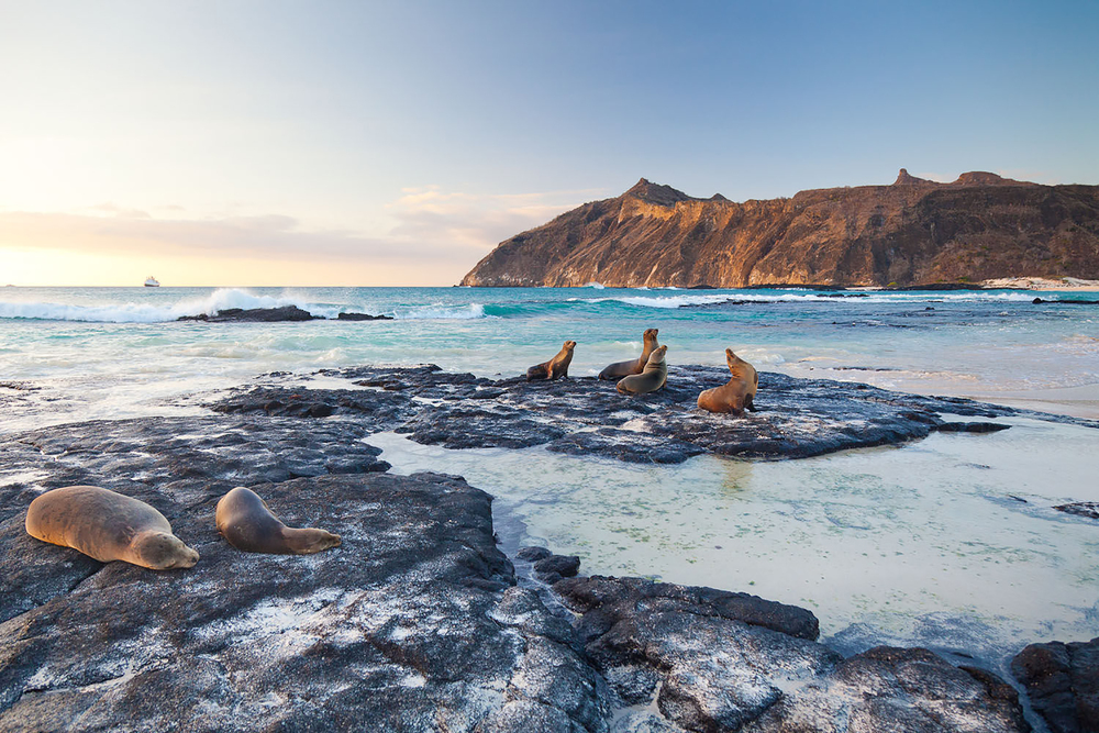 Las Islas Galápagos combinan conservación y economía azul para un futuro sostenible