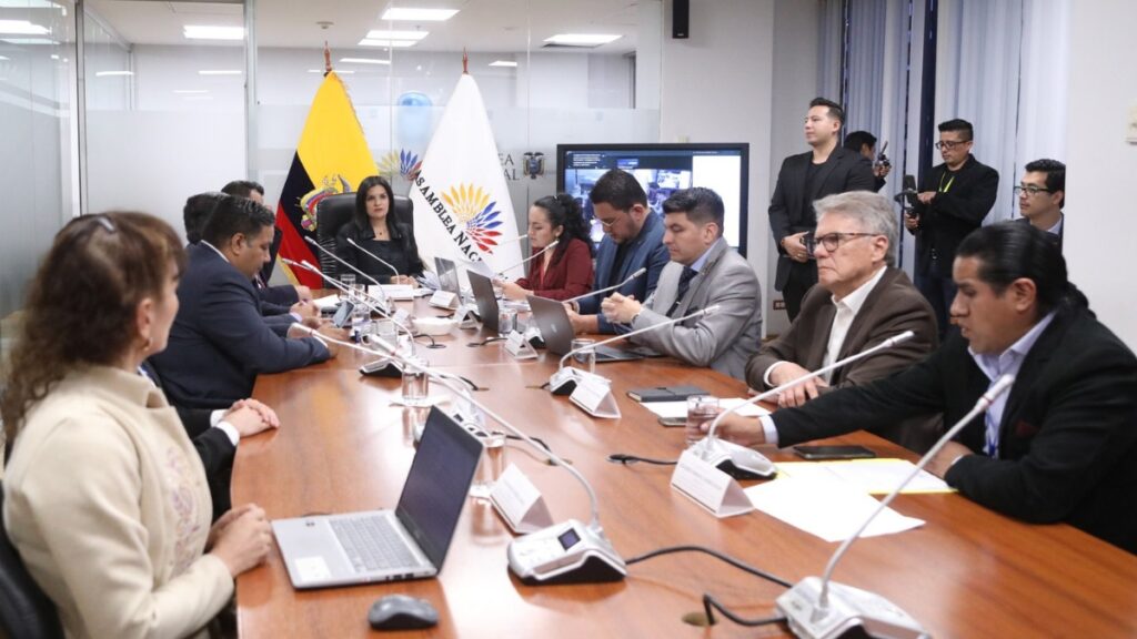 Reforma al Cootad que se analiza en la Asamblea Nacional podría limitar los conciertos para priorizar obras. (AN)