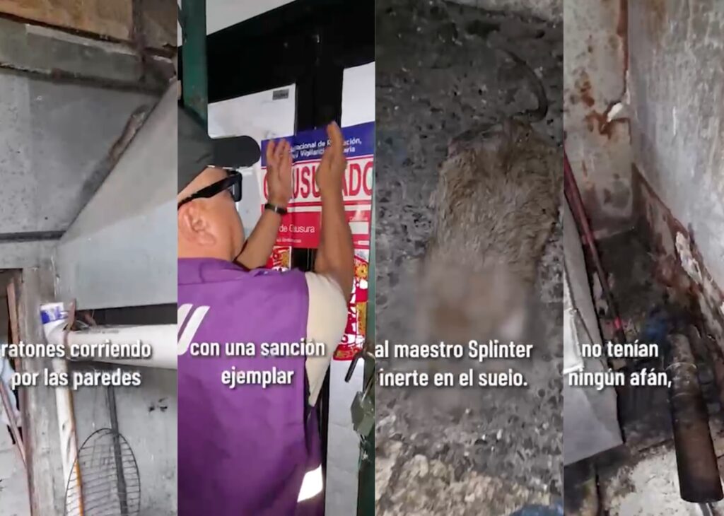 Arcsa clausuran chifa en Guayaquil que tenía una rata muerta en el área de preparados, y otros roedores y plagas rondando la cocina
