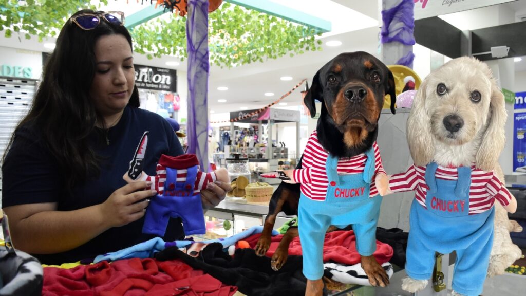 Disfraces para mascotas en Portoviejo: La tendencia de Halloween que confirma que son "parte de la familia".