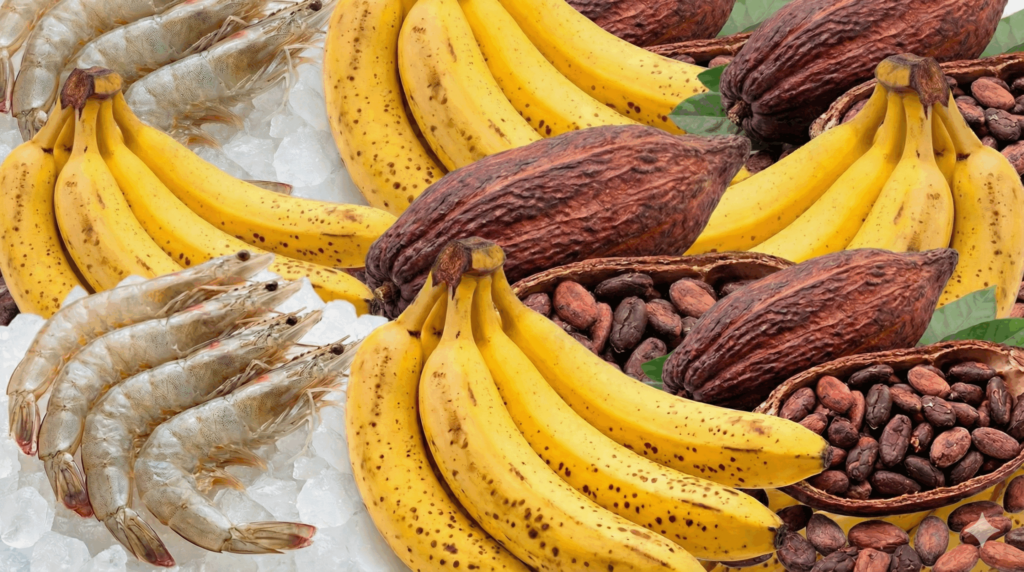 Ecuador proyecta un salto histórico en exportaciones y turismo en este 2025.