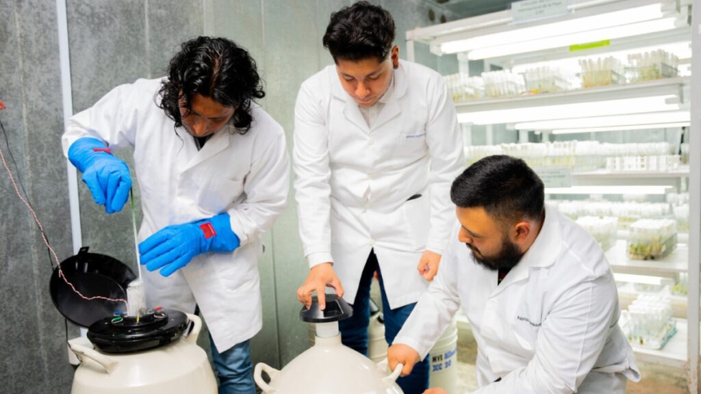 Ecuador se posiciona como uno de los bancos de diversidad agrícola más grandes de América Latina. (Ministerio de Agricultura)