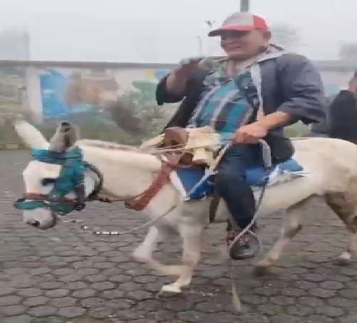 Sorpresa en Santo Domingo por ingreso de un ciudadano montado en burro a un recinto electoral