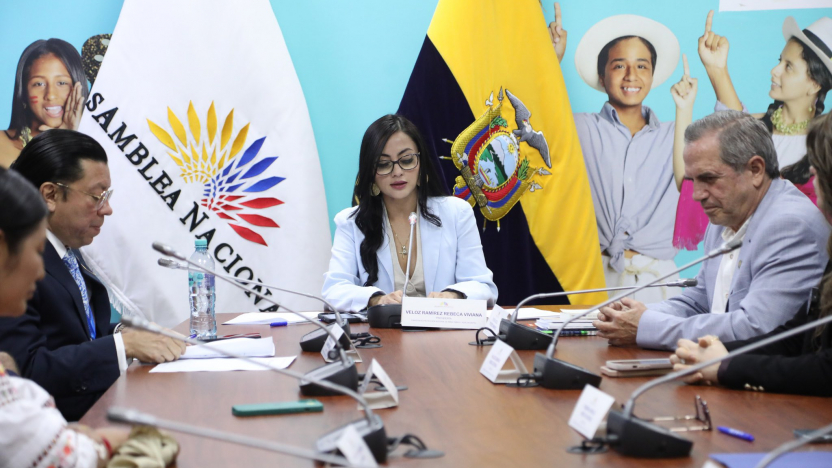 Viviana Veloz, junto a Ricardo Patiño y otros asambleístas de la Revolución Ciudadana en la Comisión de Niñez. FOTO: @AsambleaEcuador.
