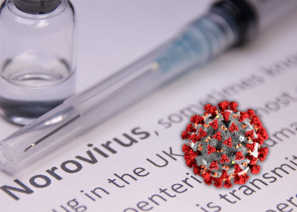 Identifican la nueva variante de norovirus responsable del aumento de brotes de gastroenteritis en todo el mundo