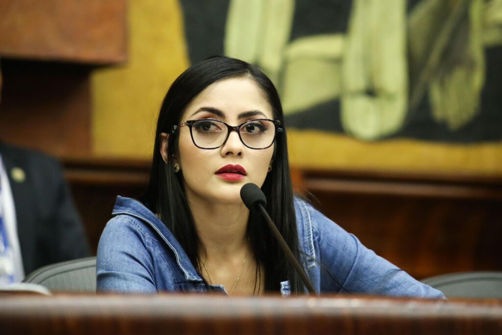 La asambleísta Viviana Veloz de la bancada Revolución Ciudadana. FOTO: @VivianaVelozEc.