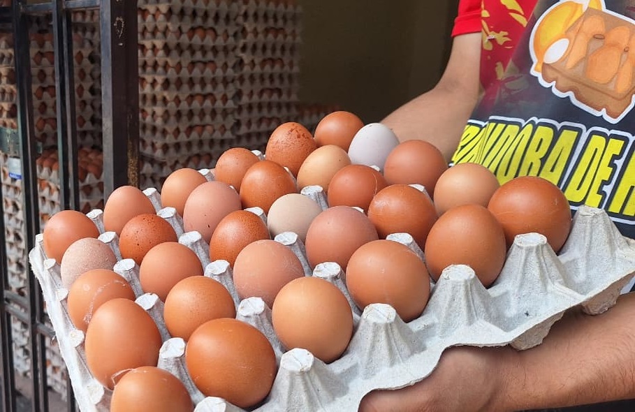 Santo Domingo registra fuerte caída en el precio del huevo por sobreoferta nacional