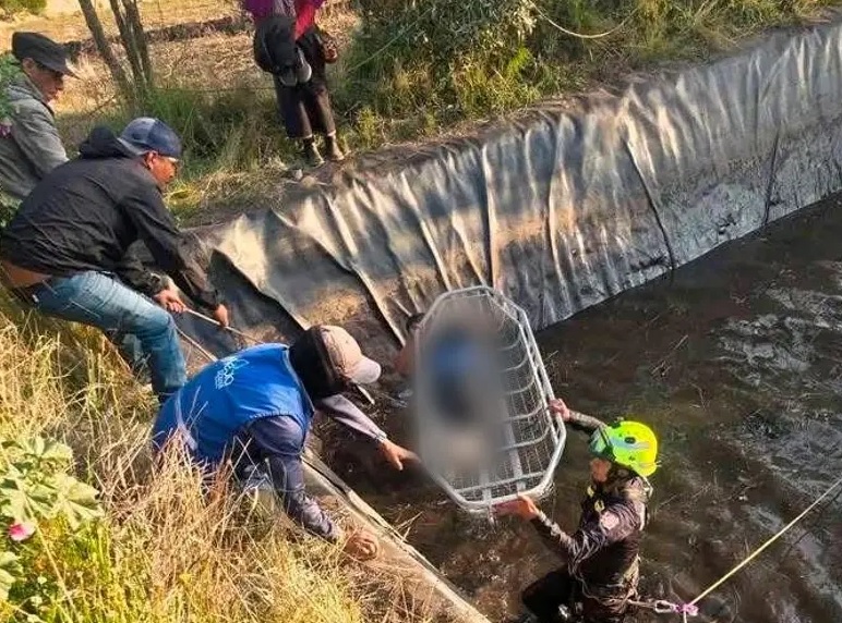 Un niño de cinco años y una niña de seis se ahogaron tras caer a un reservorio de agua en la comunidad Pull Chico, del cantón Guamote, en la provincia de Chimborazo.