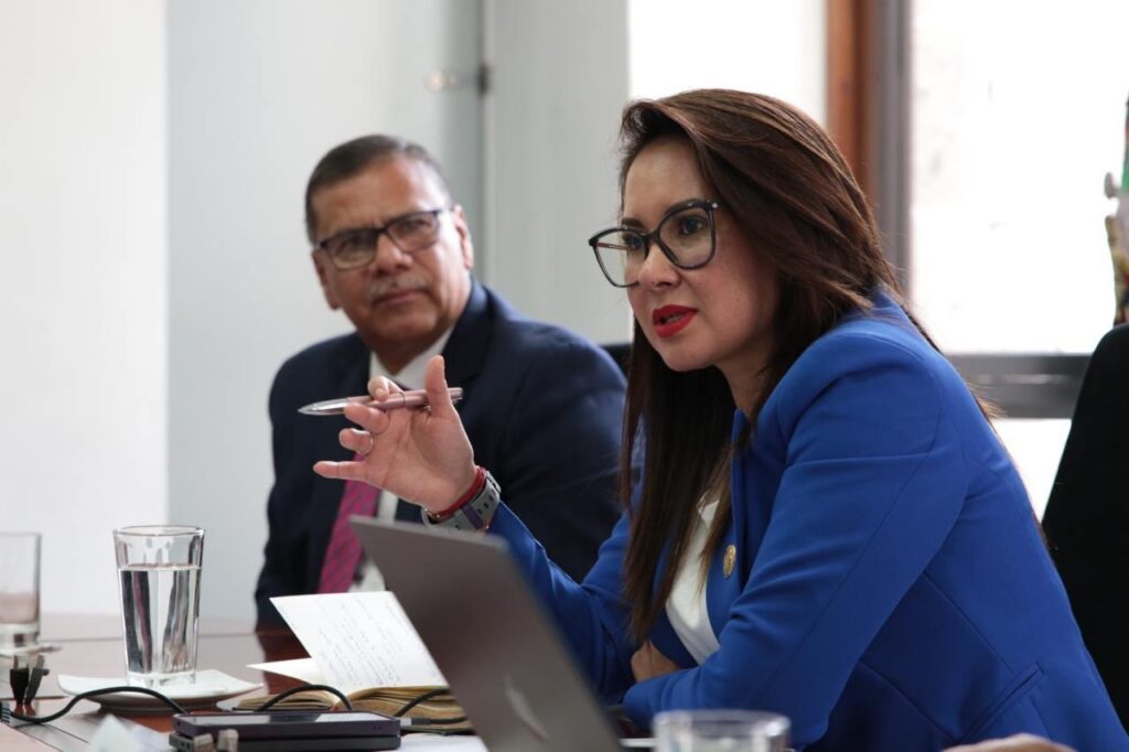 La ministra de Gobierno, Nataly Morillo en una reunión. FOTO: @MinGobiernoEc.