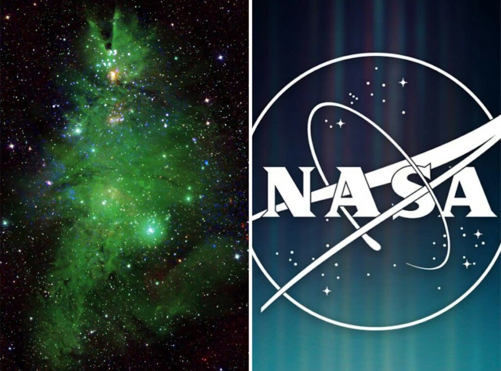 Un árbol de Navidad aparece en el espacio: la imagen científica que difundió la NASA.