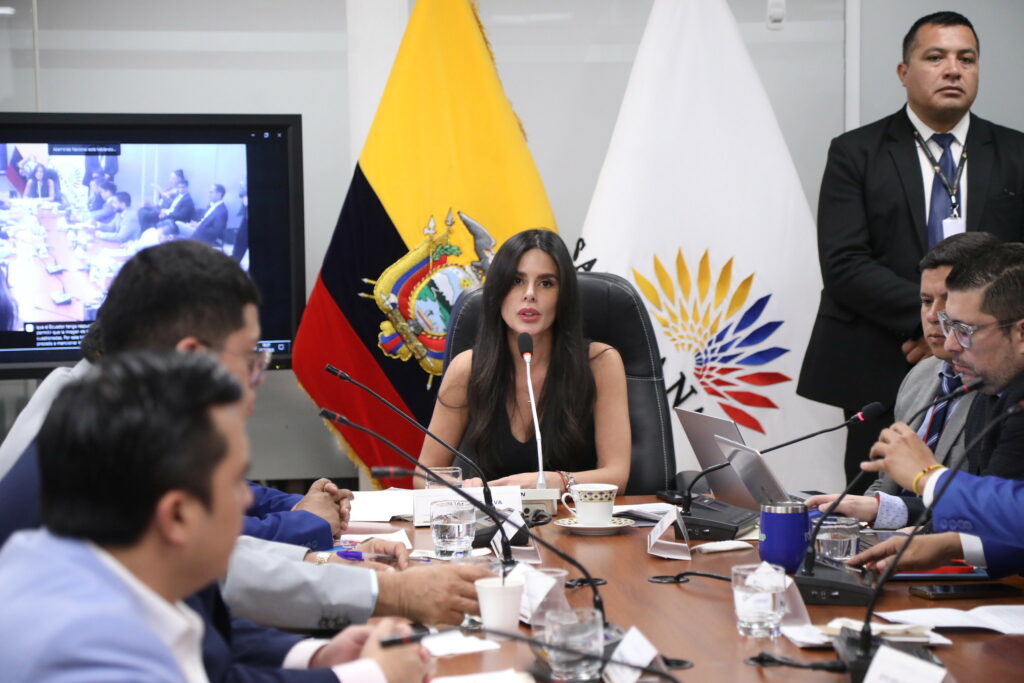 Asamblea decide informe por contratos eléctricos de Celec con Progen y ATM.