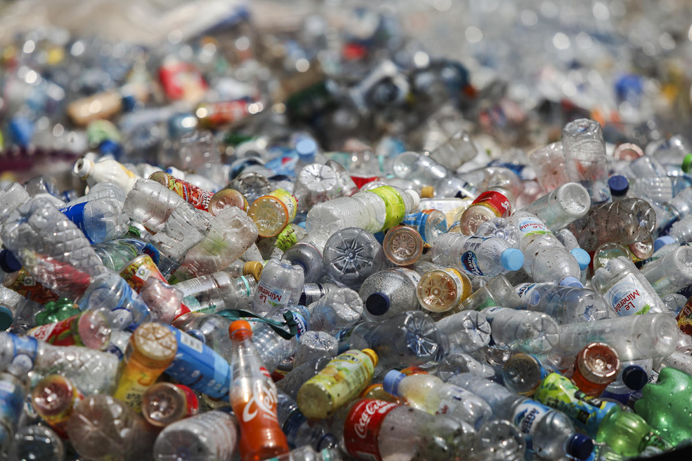 Contaminación plástica en Ecuador amenaza a toda su biodiversidad | Estudio WWF.