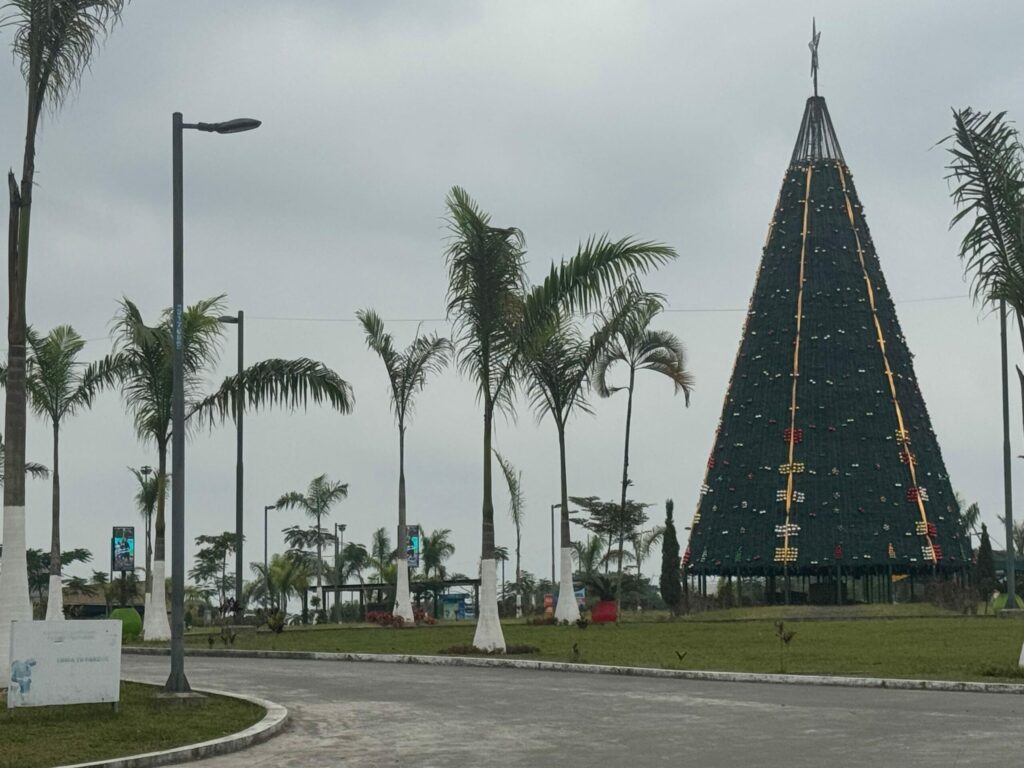 ¿Por qué sigue apagado el árbol navideño más esperado de Santo Domingo
