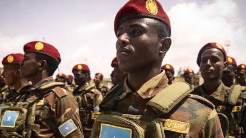 El Ejército de Somalia abate a casi 30 terroristas y elimina a altos mandos en una semana clave.