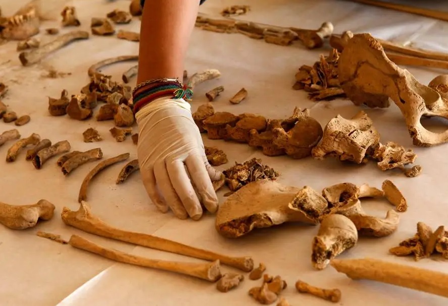 Personal de Criminalística de la Policía levantó un total de 1.385 piezas óseas que se encontraban dentro de una institución educativa, en el sector de Chimbacalle,