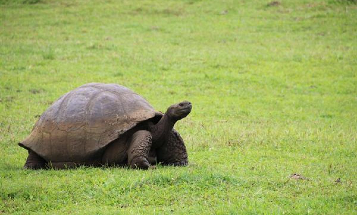 0af0460ceeb3b79e6fde929c380d2bf79736d264m-1