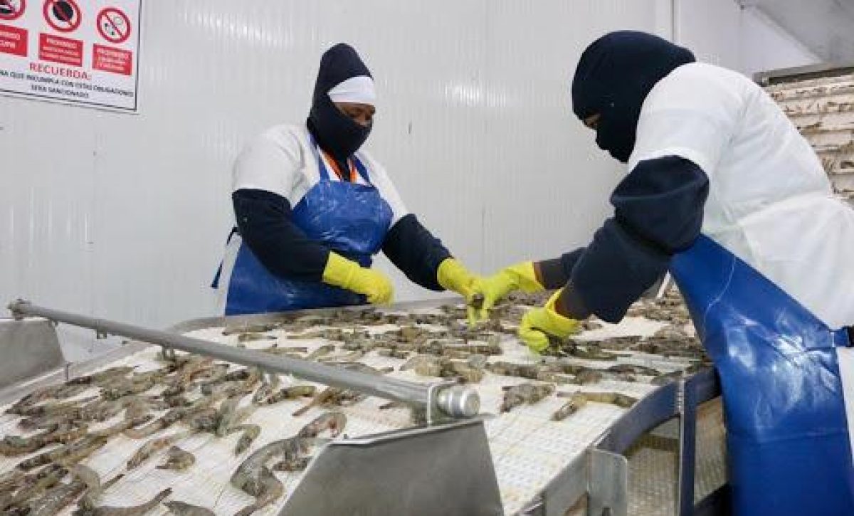 20210312120613_ecuador-tuvo-ra-cord-de-exportacion