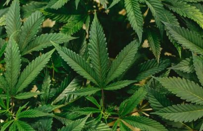 20210314124002_dudas-en-ma-xico-sobre-impacto-en-e