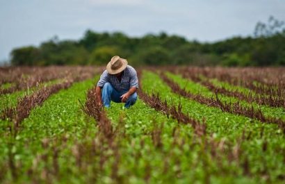 20210318072512_la-agricultura-perdia-280-000-millo