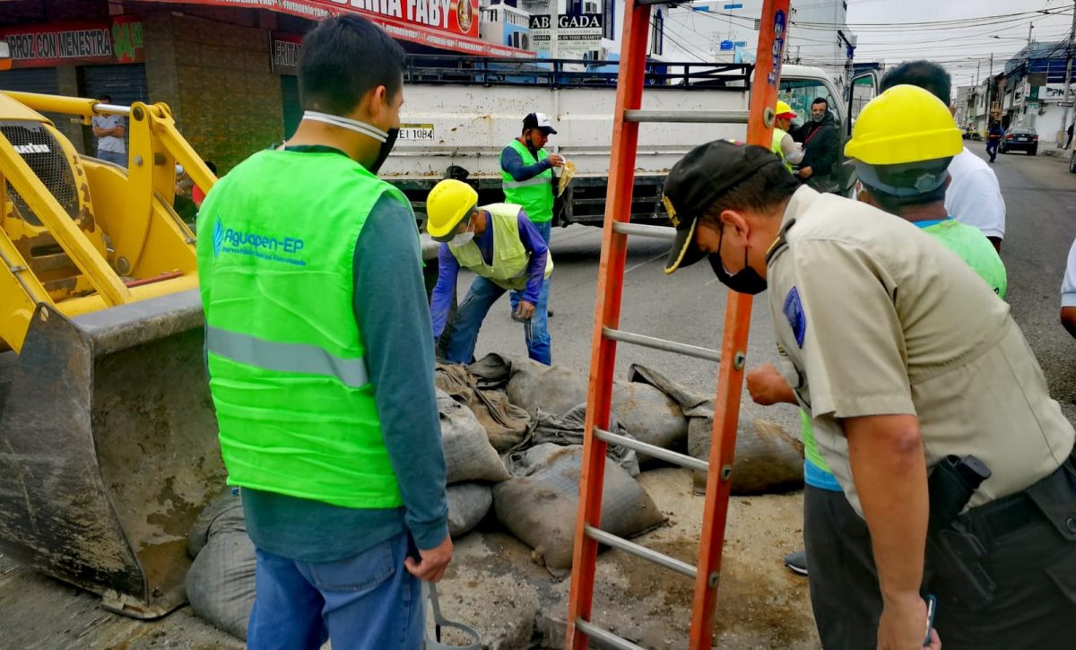 220501764_266619995268514_4739460820677363932_n