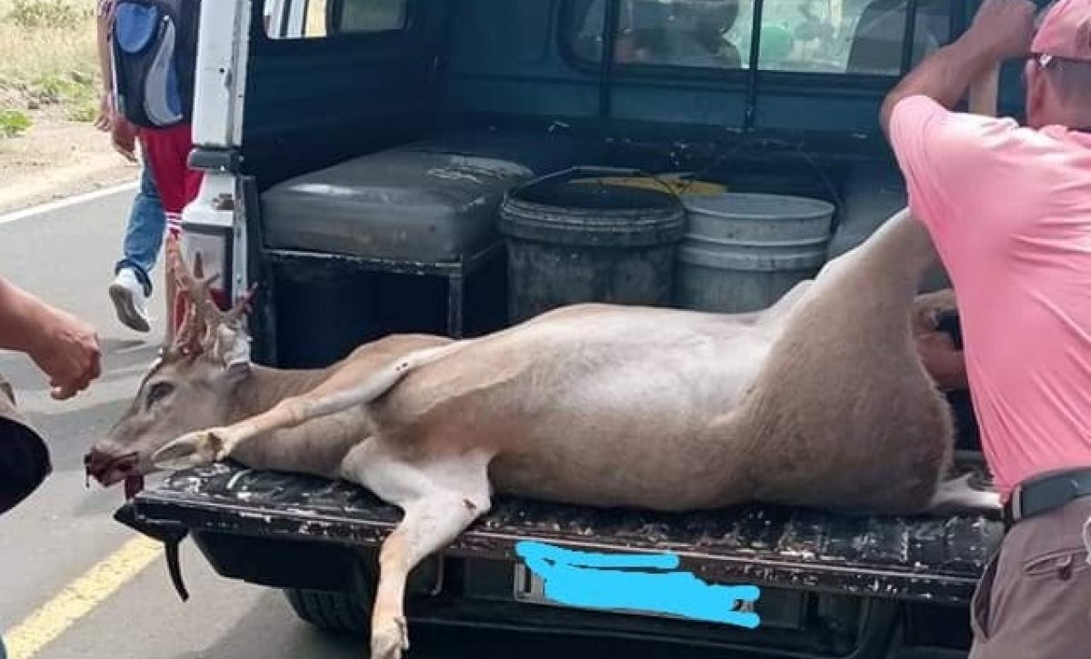 237962879_341794247638422_4022033238201768786_n 237962879_341794247638422_4022033238201768786_n