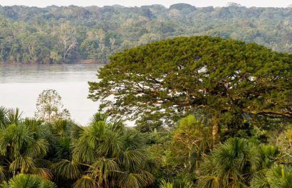 El Parque Nacional Yasuni, un tesoro de biodiversidad y hogar de comunidades indígenas. FOTO: salvalaselvaorg (Instagram).