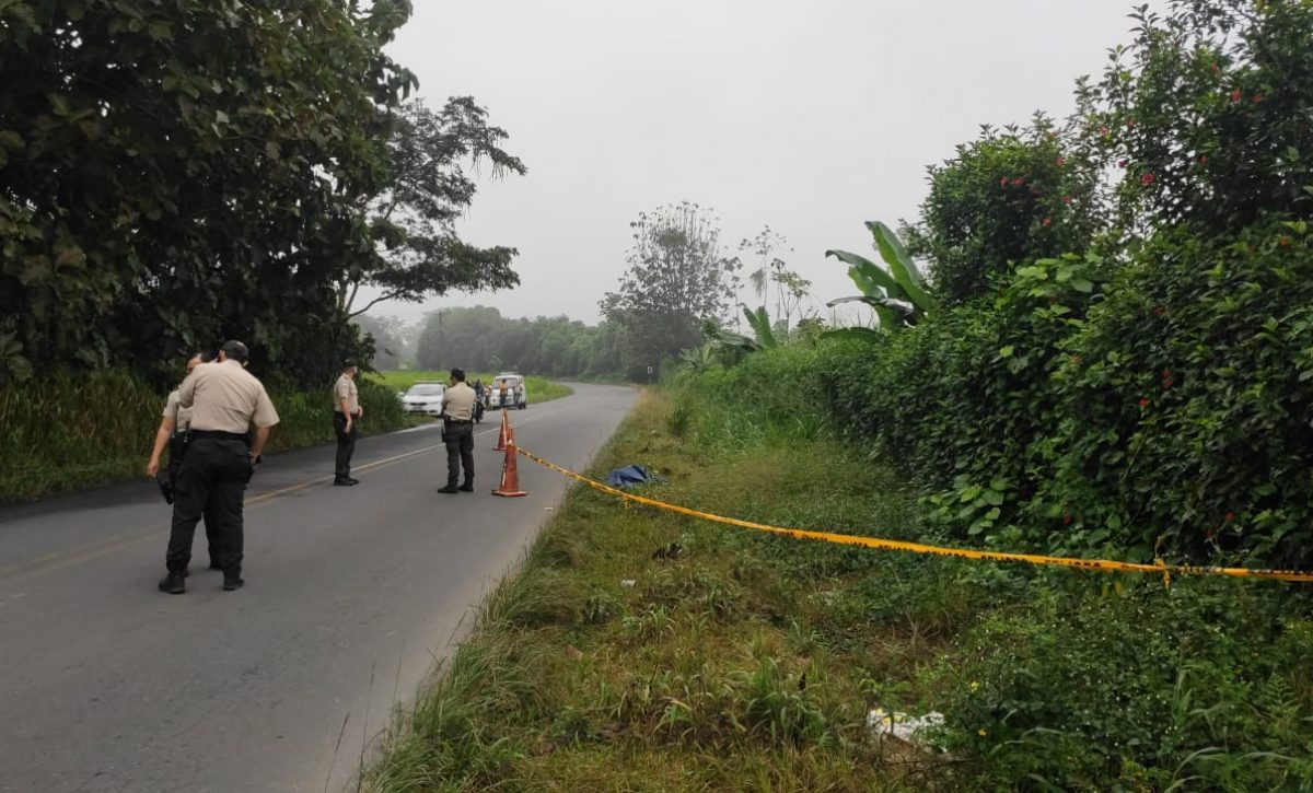 5a784b0d-2cbd-48e4-a90b-0f3ad8772ce6