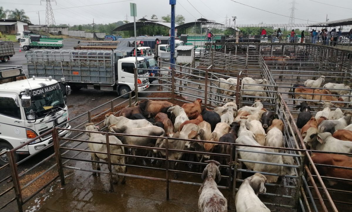 6-PRINCIPAL-FERIA-scaled-1