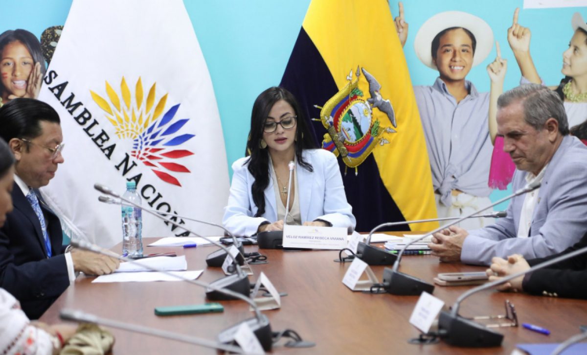 Viviana Veloz, junto a Ricardo Patiño y otros asambleístas de la Revolución Ciudadana en la Comisión de Niñez. FOTO: @AsambleaEcuador.