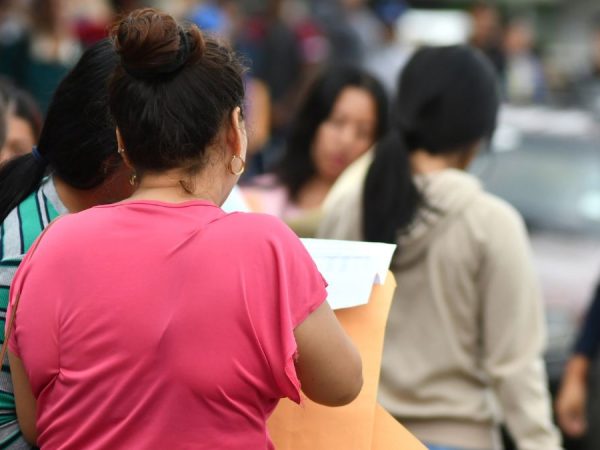 Acción de protección presentada por despido de funcionaria pública en plan de eficiencia administrativa. (API).