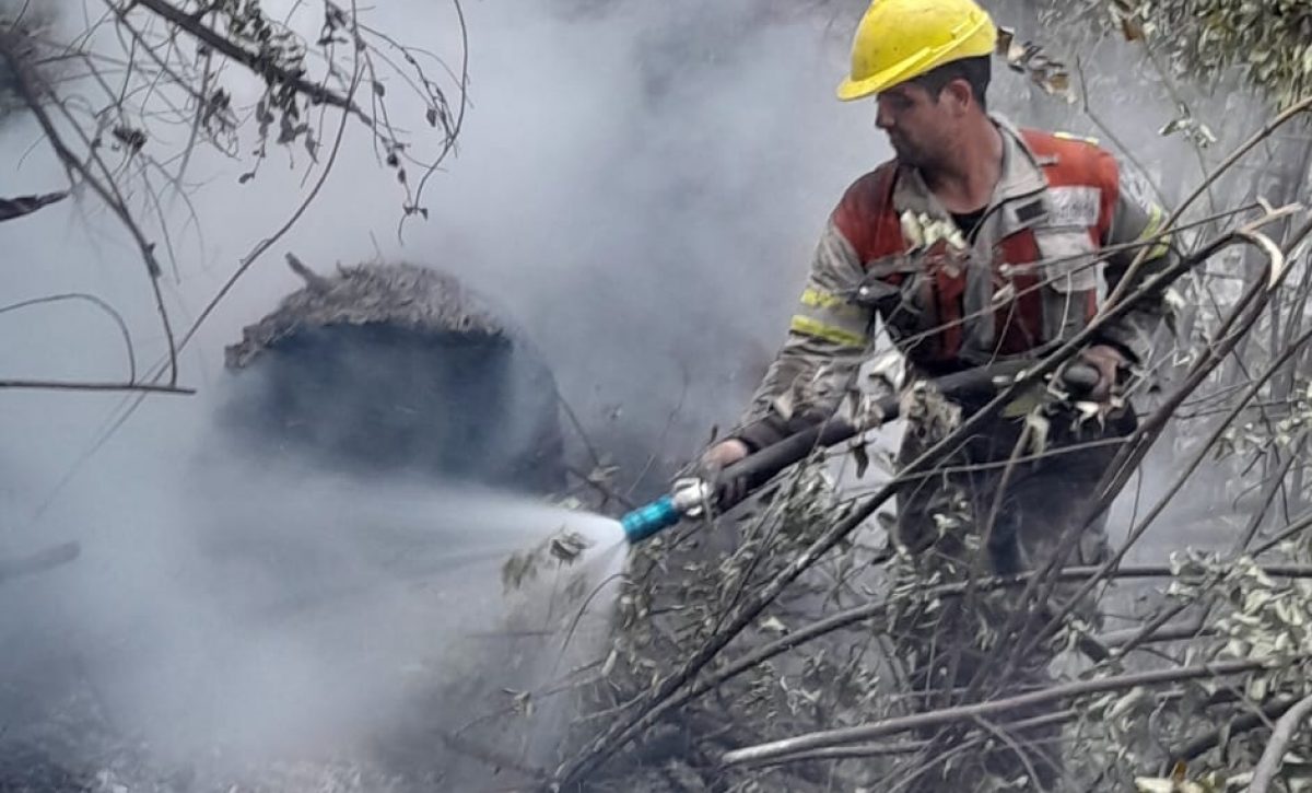 Al menos 3 mil personas, en su mayoría turistas, han sido evacuadas en los últimos tres días debido a los incendios forestales que afectan la región de la Patagonia argentina.