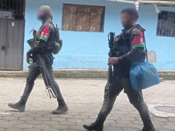 Al menos diez personas armadas, dos de ellas portando fusiles de largo alcance y equipos de comunicación, transitaron por la parroquia El Goaltal, cantón Espejo, provincia del Carchi.
