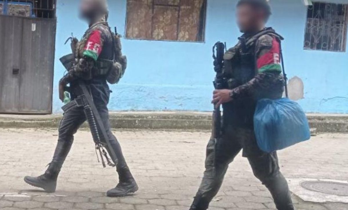 Al menos diez personas armadas, dos de ellas portando fusiles de largo alcance y equipos de comunicación, transitaron por la parroquia El Goaltal, cantón Espejo, provincia del Carchi.
