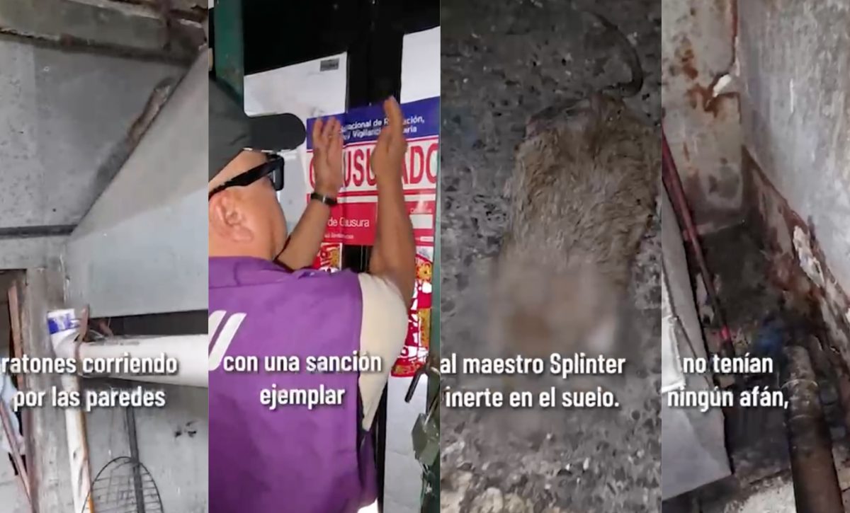 Arcsa clausuran chifa en Guayaquil que tenía una rata muerta en el área de preparados, y otros roedores y plagas rondando la cocina