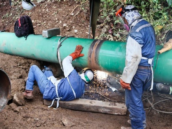 Carolina Jaramillo, vocera del Gobierno, anunció que el Sistema de Oleoducto Transecuatoriano (SOTE) reanudará el bombeo de crudo el 26 de julio.