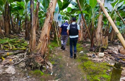 Conductor de tricimoto fue hallado maniatado y quemado en Buena Fe